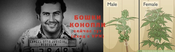 меф Горно-Алтайск