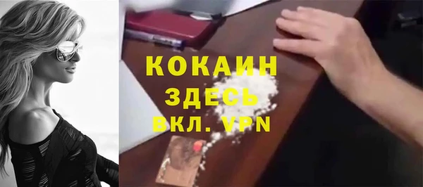 прущий лед Вяземский